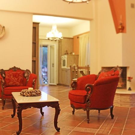 Villa Konstantina Petriti  ภายนอก รูปภาพ