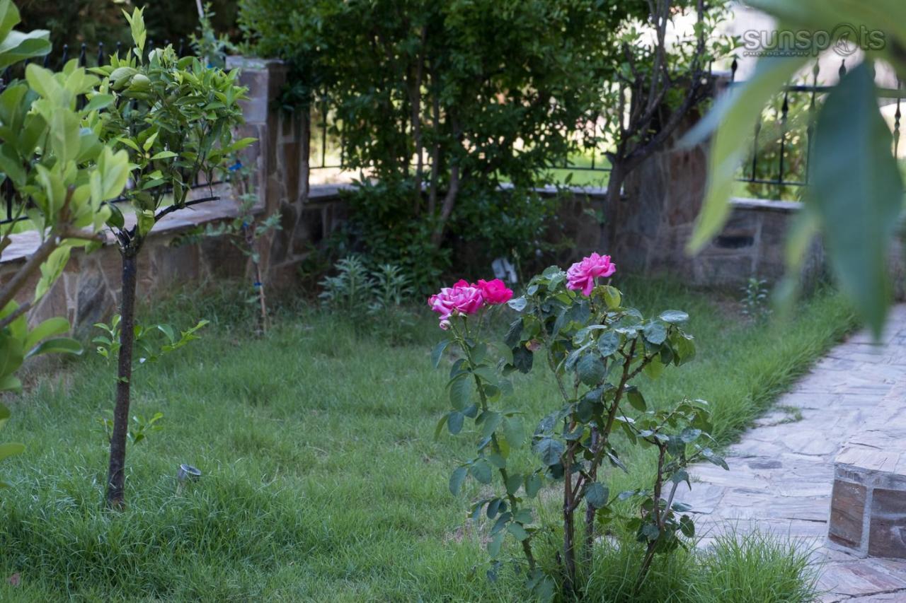 Villa Konstantina Petriti  ภายนอก รูปภาพ